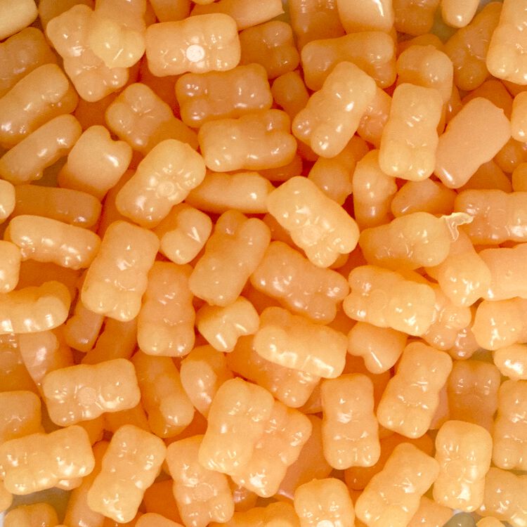 Honee Bear Wax Kit - Image 3
