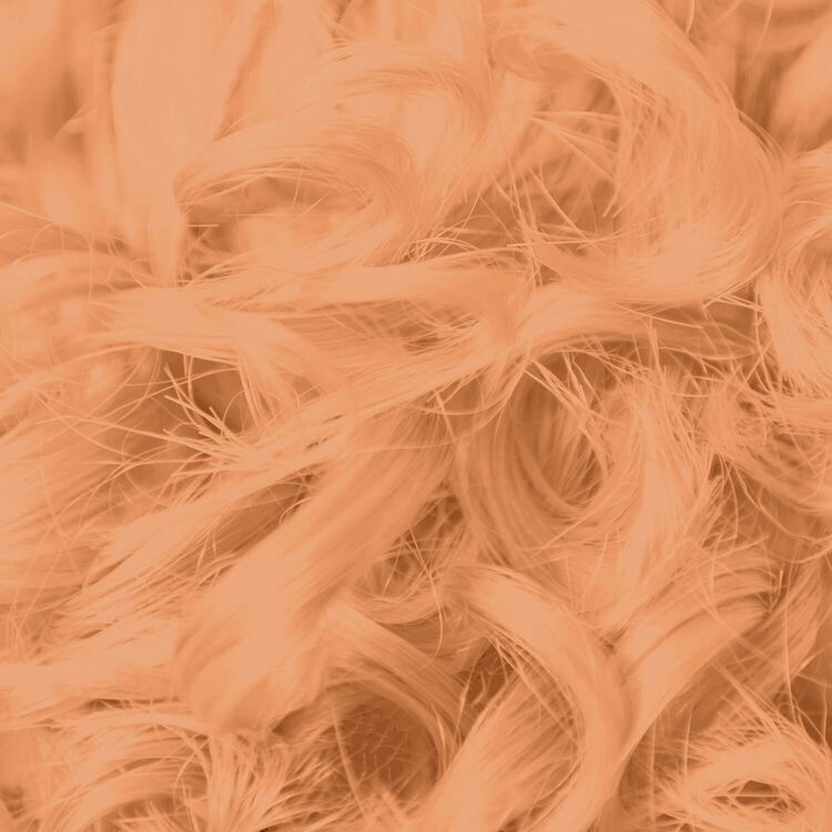 Champagne Bonding Toner Demi-Permanent Hair Color - Image 5