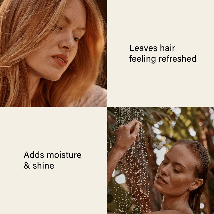 Eucalyptus Balancing Shampoo - Image 4