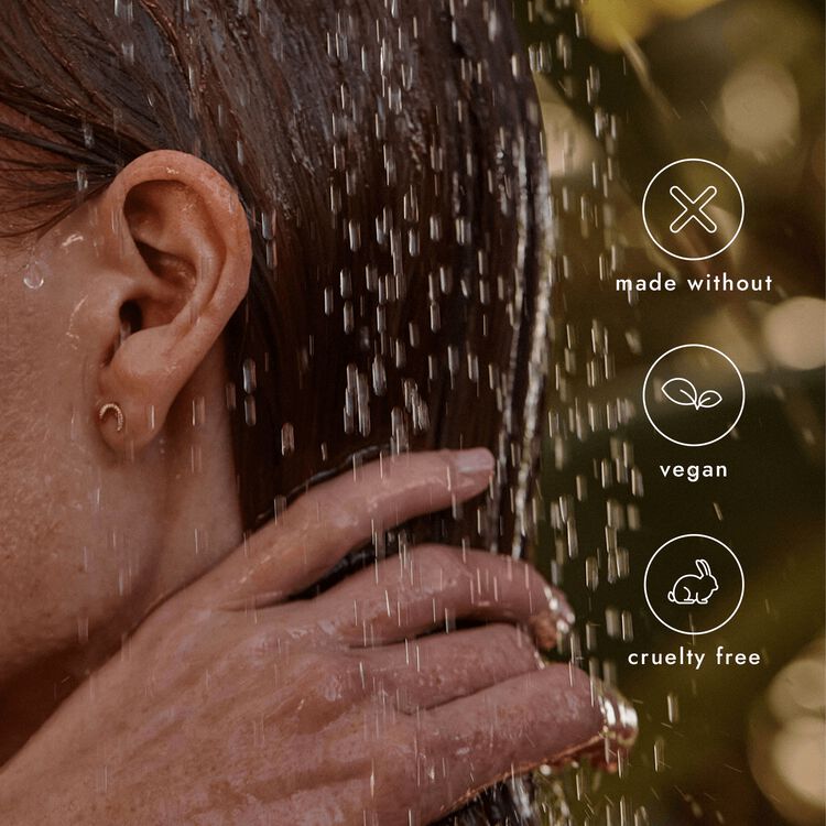 Eucalyptus Balancing Shampoo - Image 5