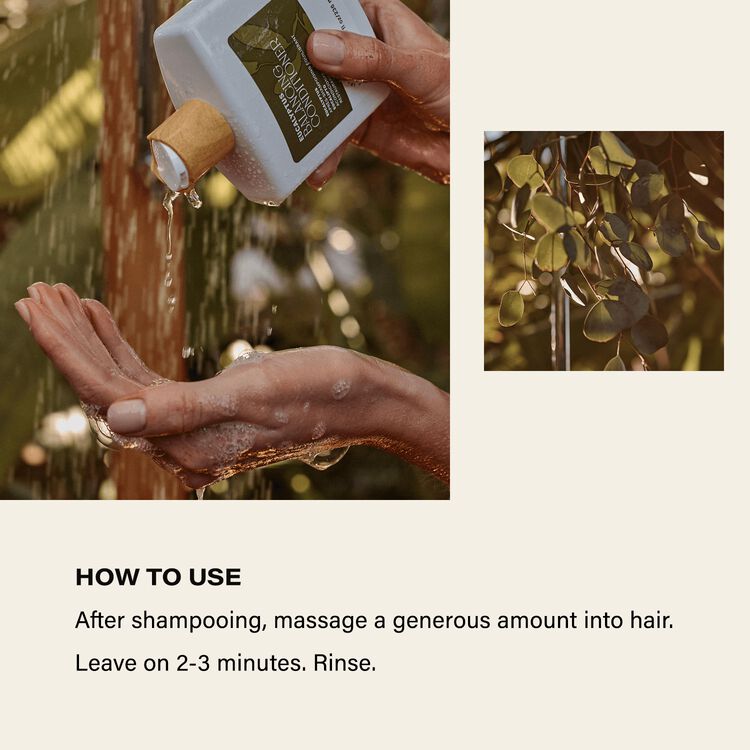 Eucalyptus Balancing Conditioner - Image 6