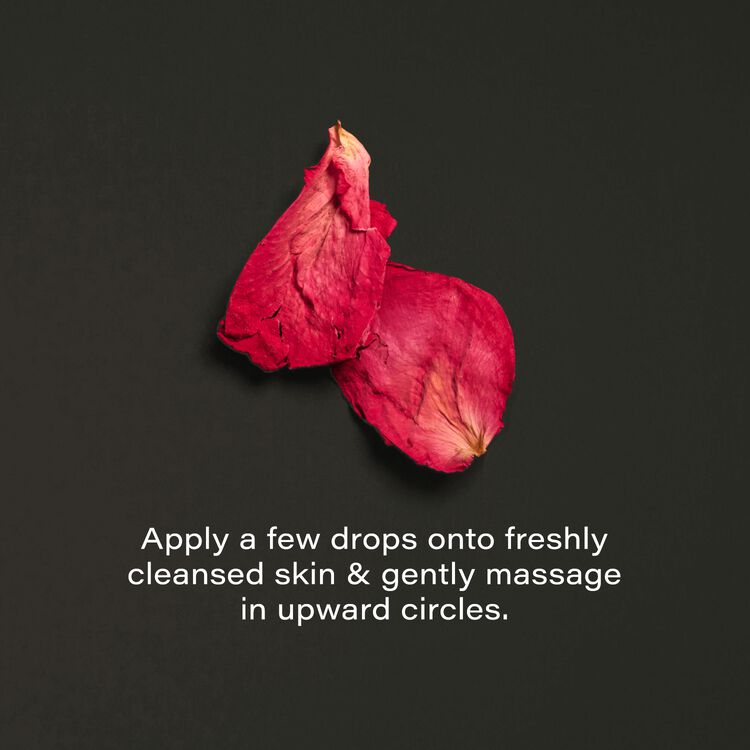Bliss Facial Oil - Image 5