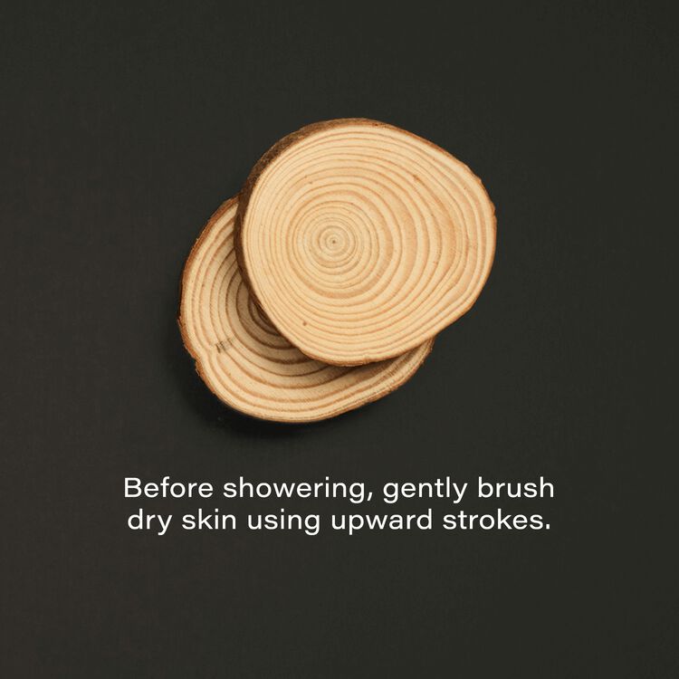 Dry Brush - Image 4