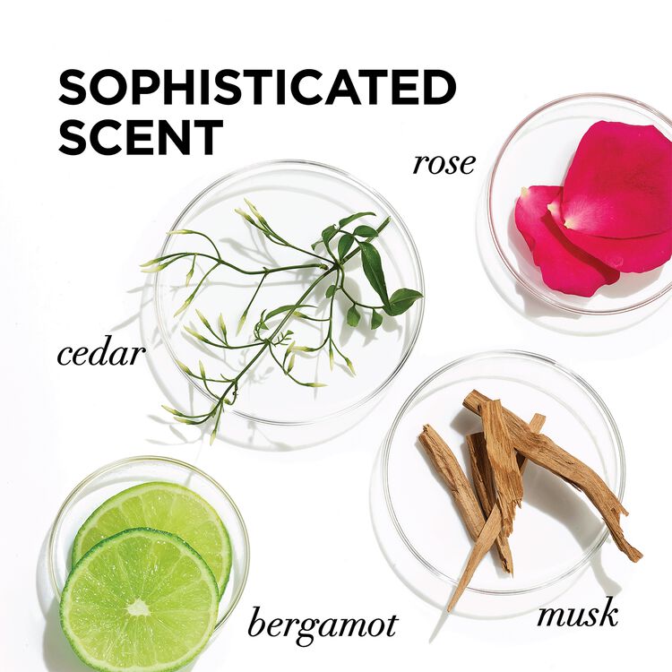 EverPure Moisture Conditioner - Image 4